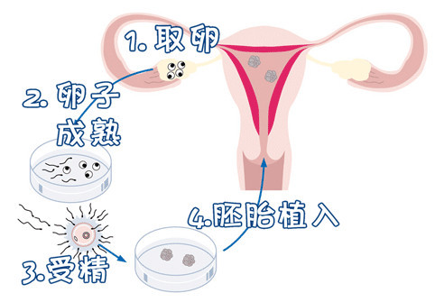 实验室